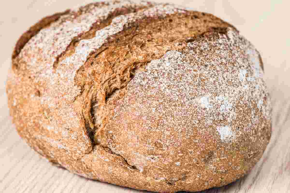 Pagnotta di pane integrale fatto in casa