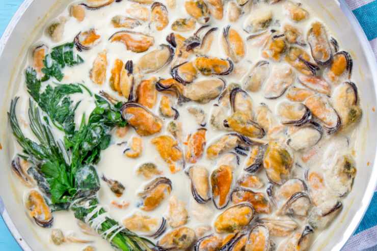 Cozze con la panna cremose alla francese in una padella con erbette aromatiche