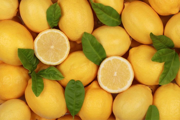rotolo al limone ricetta