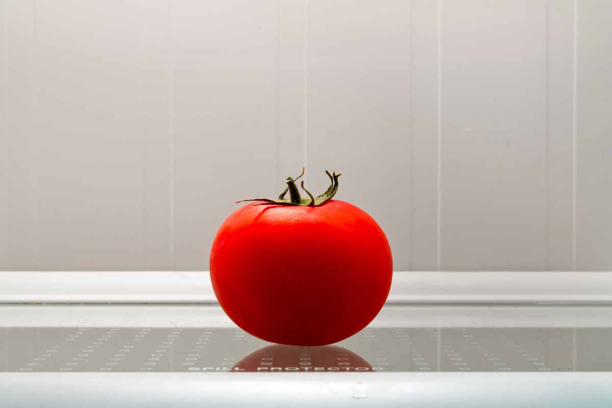 Conservare i pomodori