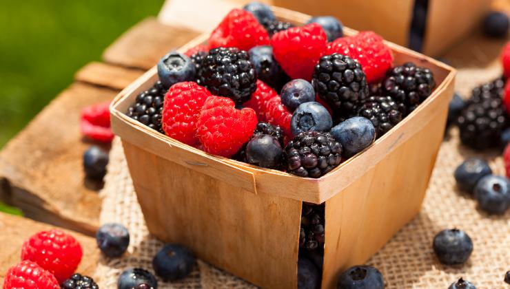 I frutti di bosco sono un alimento che aiuta a mantenere la pressione sanguigna nel giusto range