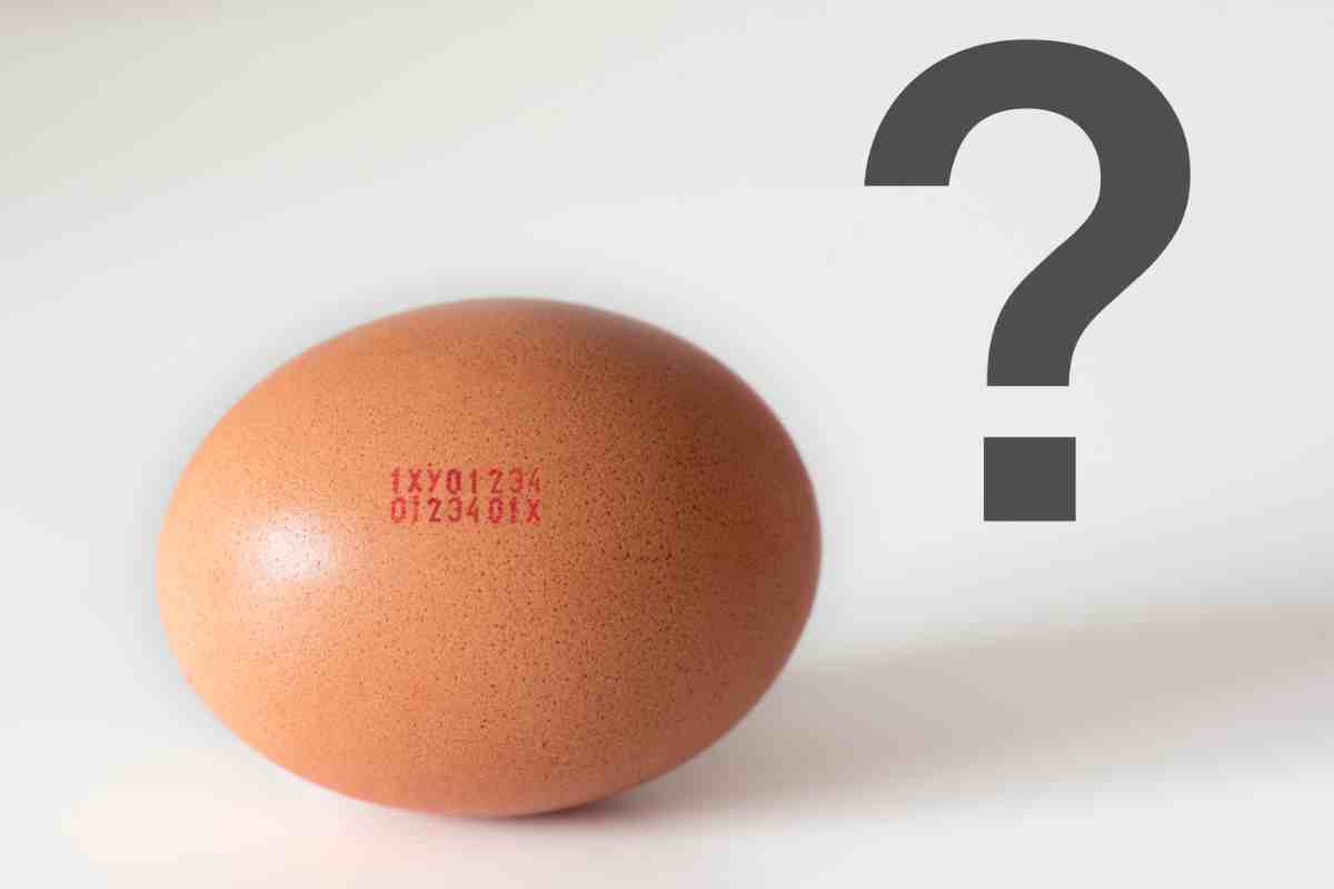 come riconoscere uova biologiche