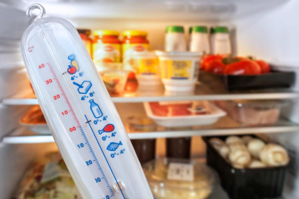 Il caldo è finalmente arrivato: ecco come impostare la temperatura del frigorifero per risparmiare in bolletta