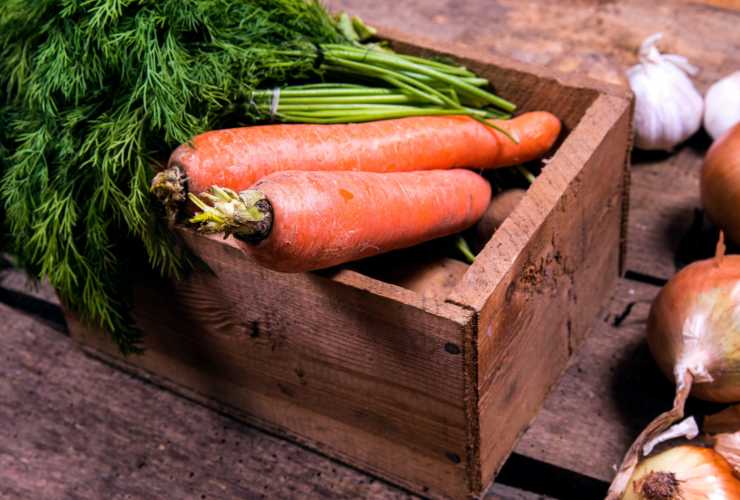 come conservare carote