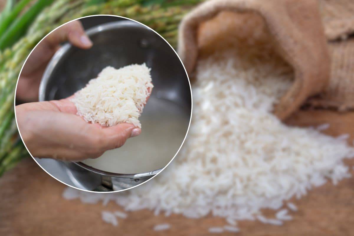 Il riso va lavato o no prima di essere cotto? Tutto ciò che devi sapere
