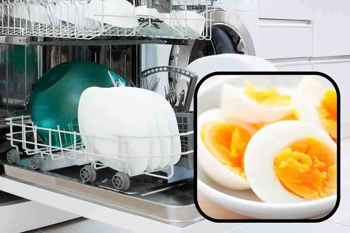 stoviglie eliminare la puzza di uovo