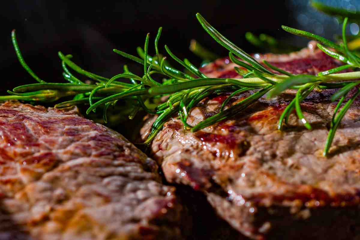 cosa succede se si mangia solo carne