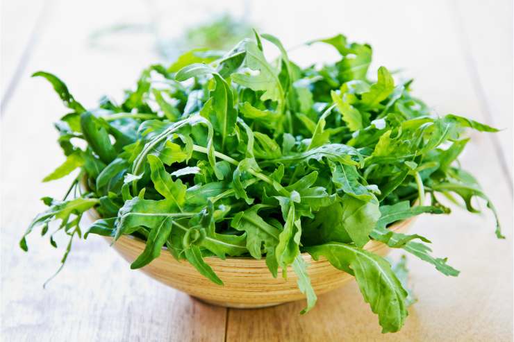 benefici rucola