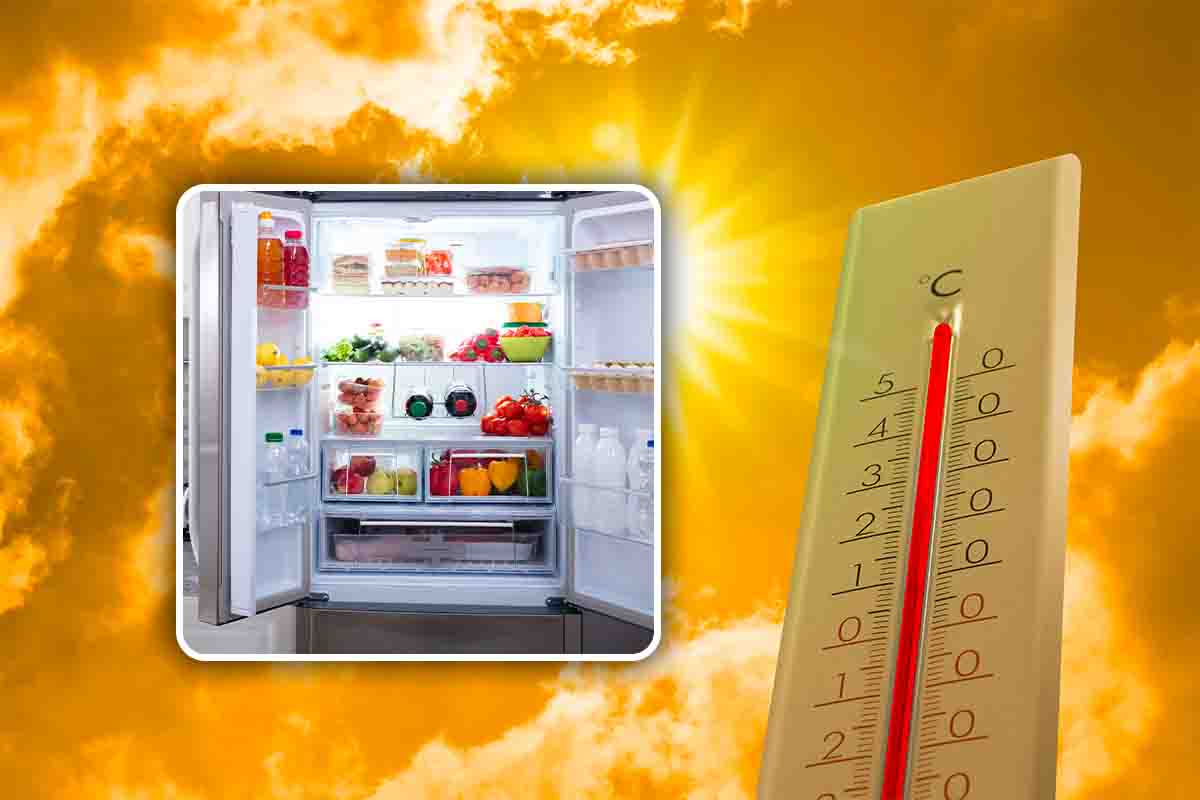 il pericolo nel frigo