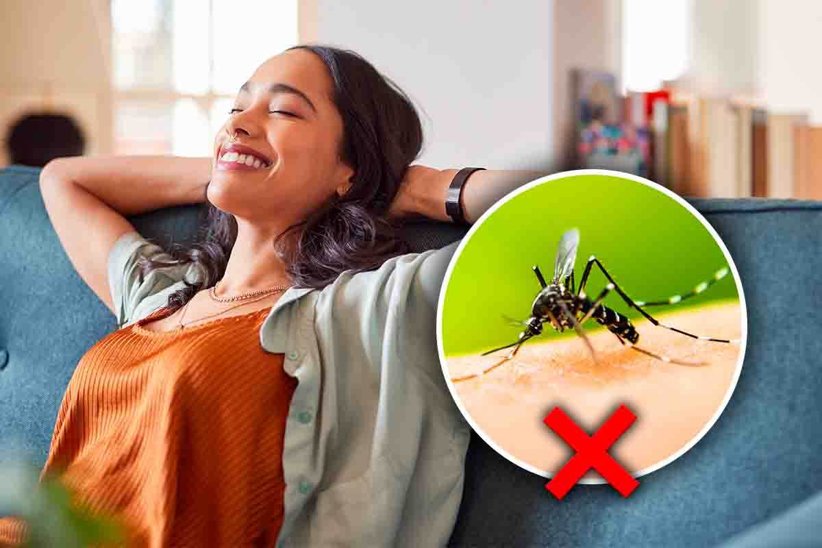 anti zanzare naturale