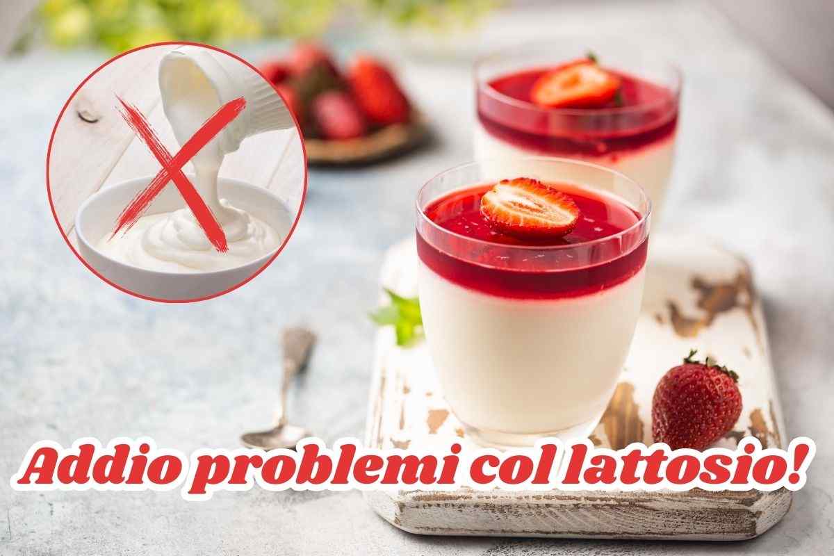 panna cotta senza panna ricetta