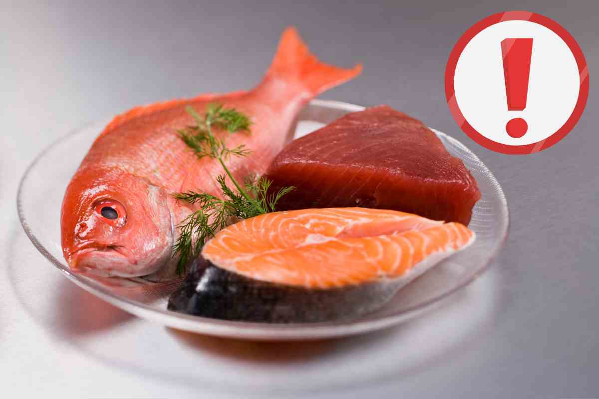Abbattere il pesce, puoi farlo anche a casa senza abbattitore: segui questo trucco e lo mangi in totale sicurezza