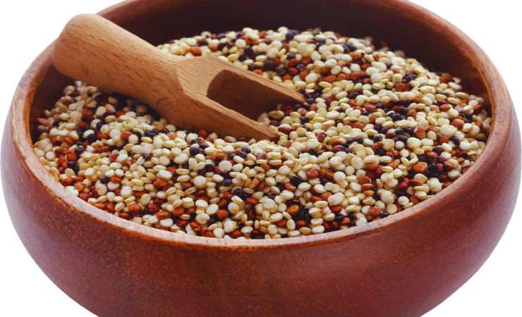 cos'è la quinoa e come si mangia