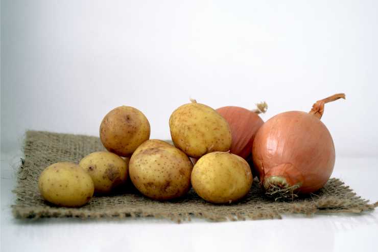 Cipolle e patate conservazione