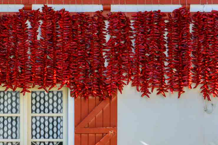  peperoncini legati in collane per farli seccare