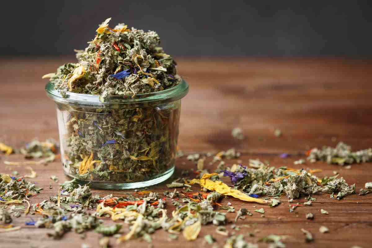 Tisane curative