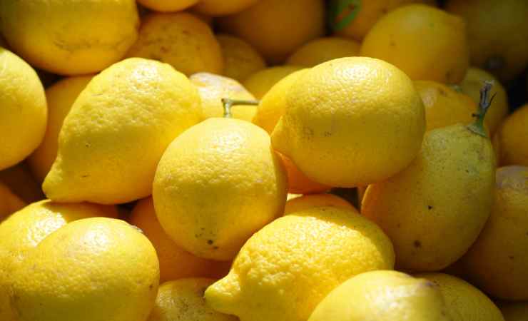 Limoni