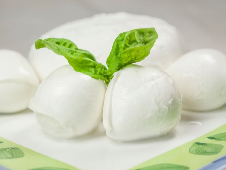 errori conservare mozzarella aperta