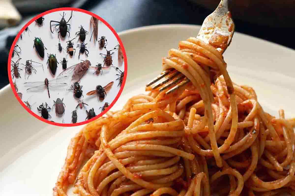 come evitare insetti nella pasta