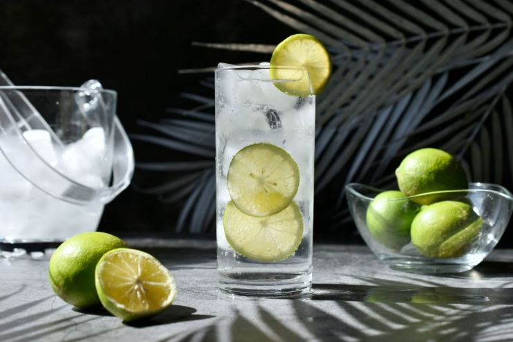 torta gin tonic facile e veloce