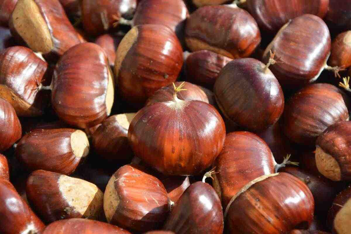 Quali sono le proprietà delle castagne