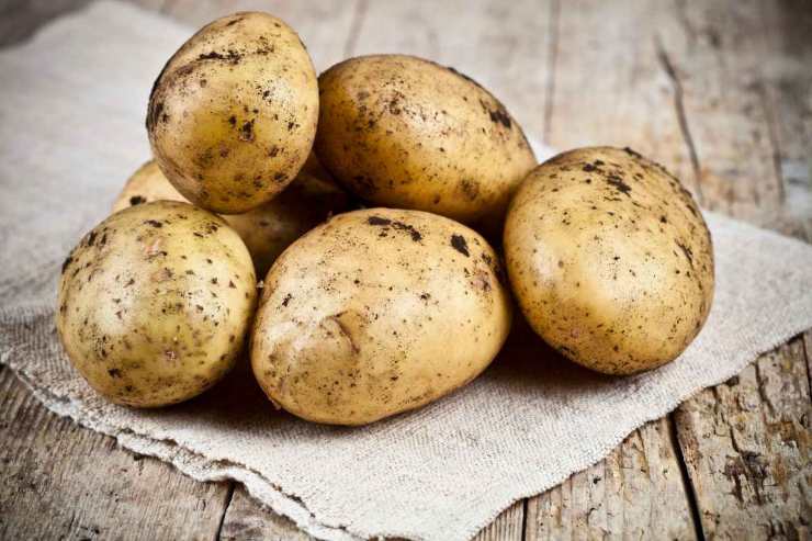 Patate germogli pericoli