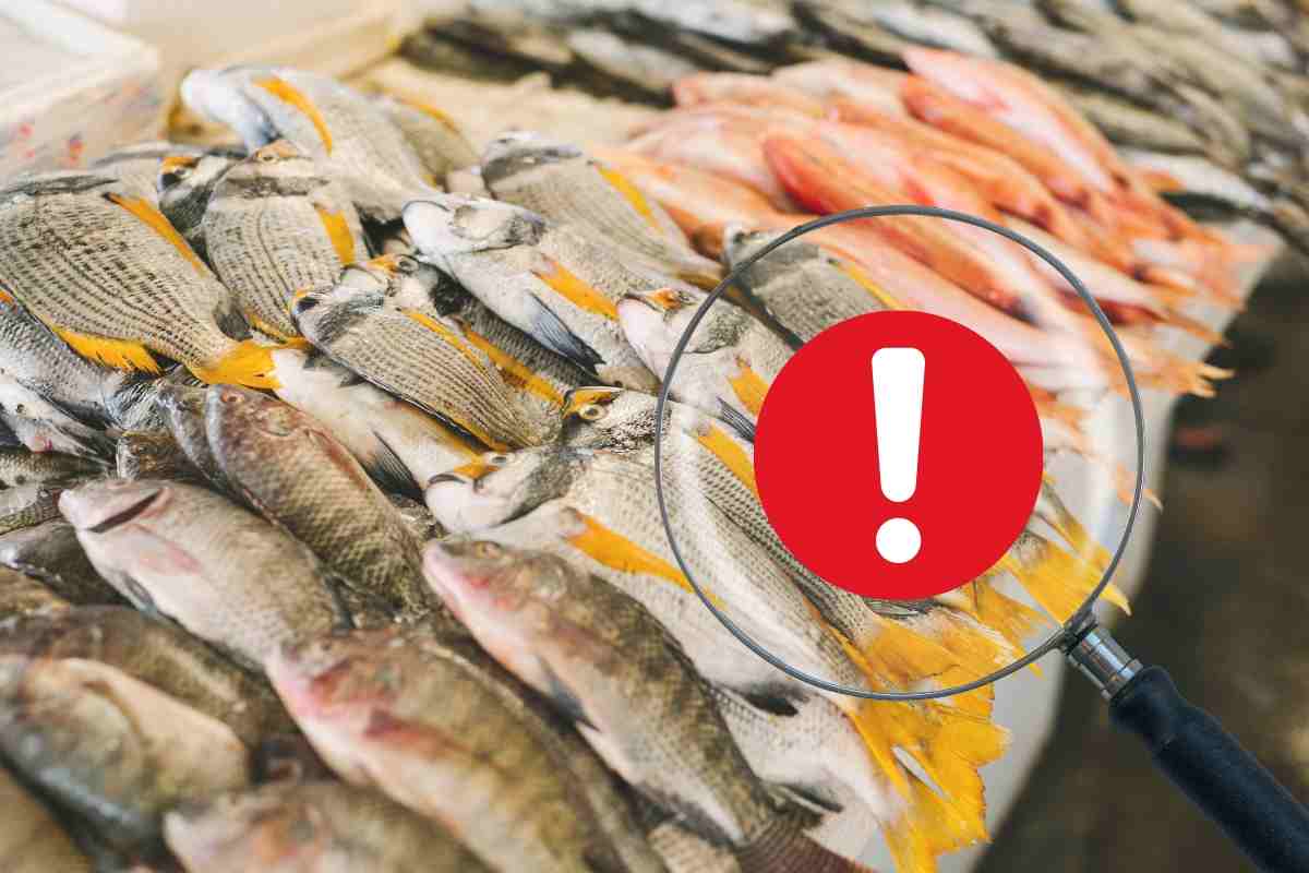 Pescheria, errori da evitare quando fai la spesa: occhio a questi dettagli