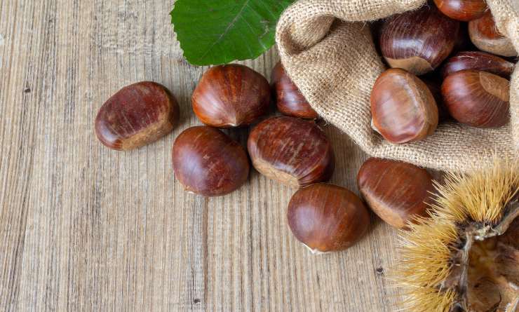 castagne per liquore