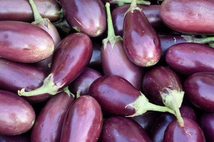 melanzane alla scapece ingredienti e passaggi