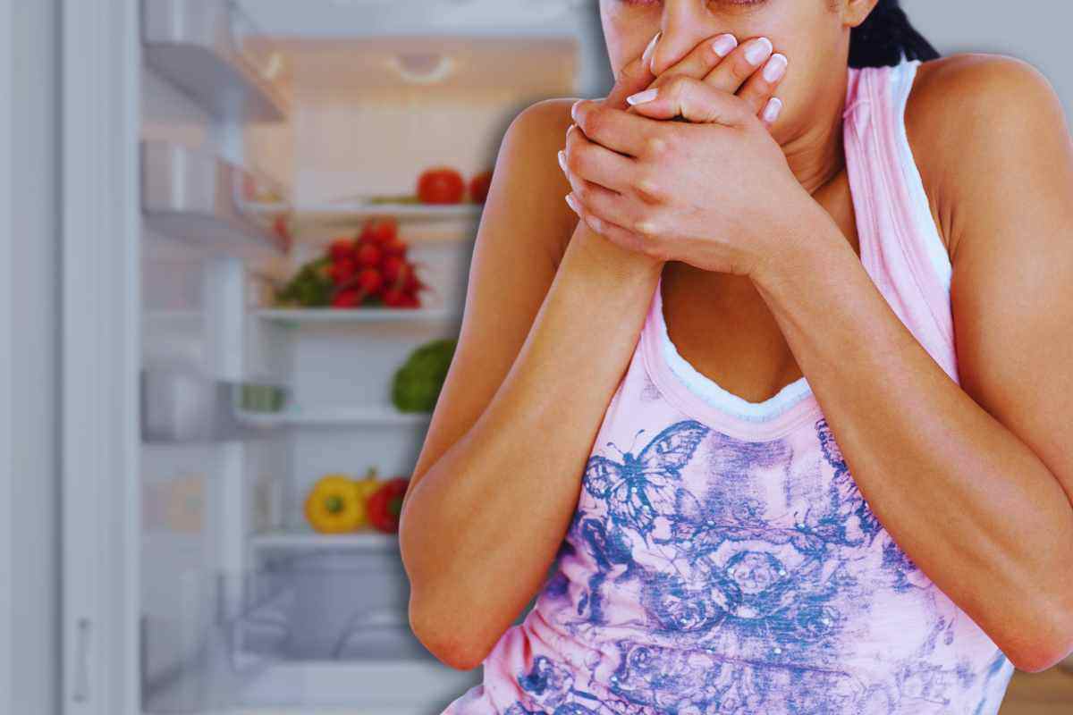 Cattivi odori nel frigo, non solo muffe e cibo andato a male: anche questo può causare puzze nauseanti