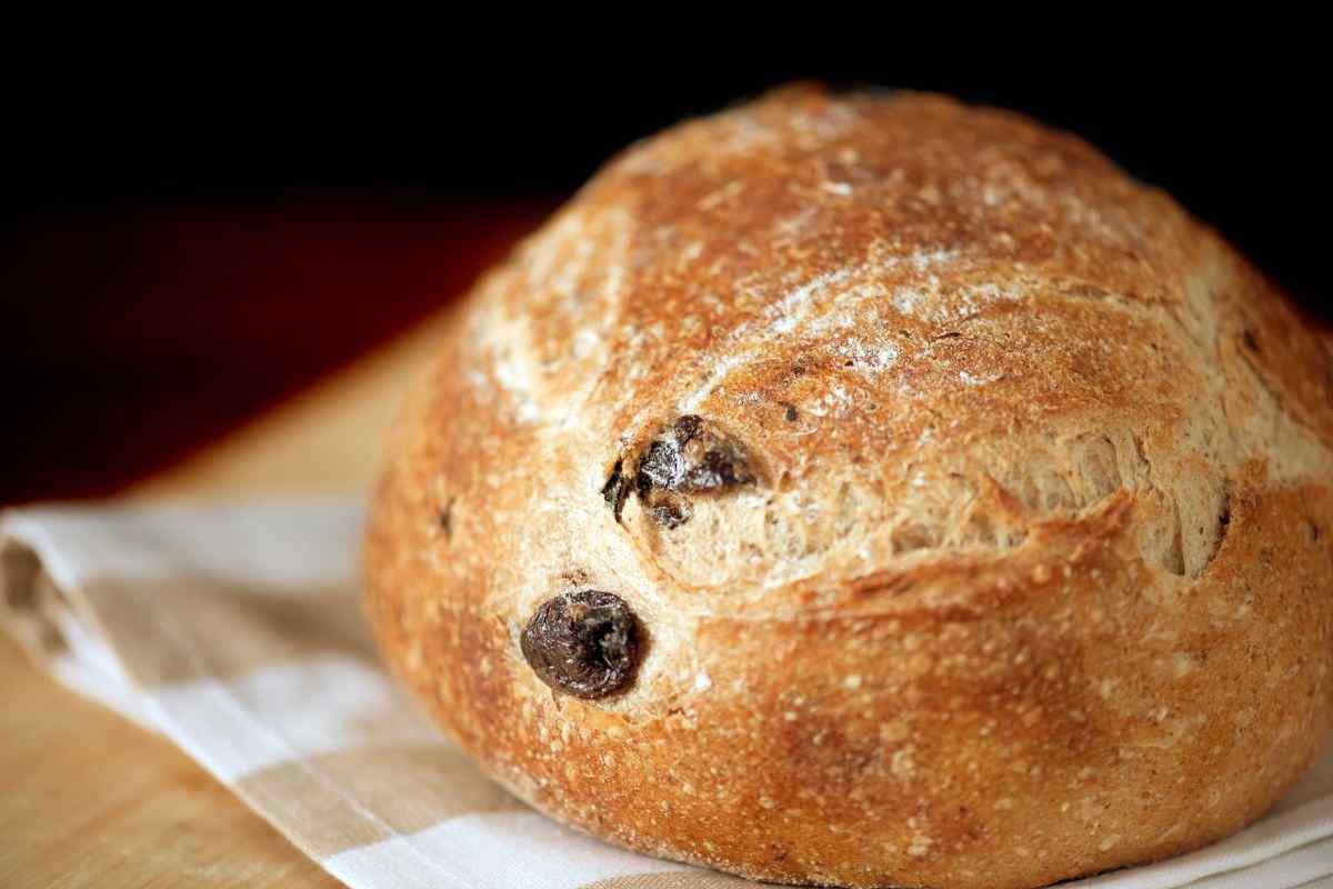 Non ho mai fatto un pane alle olive così gustoso e veloce: viene altissimo e cuoce in poco tempo