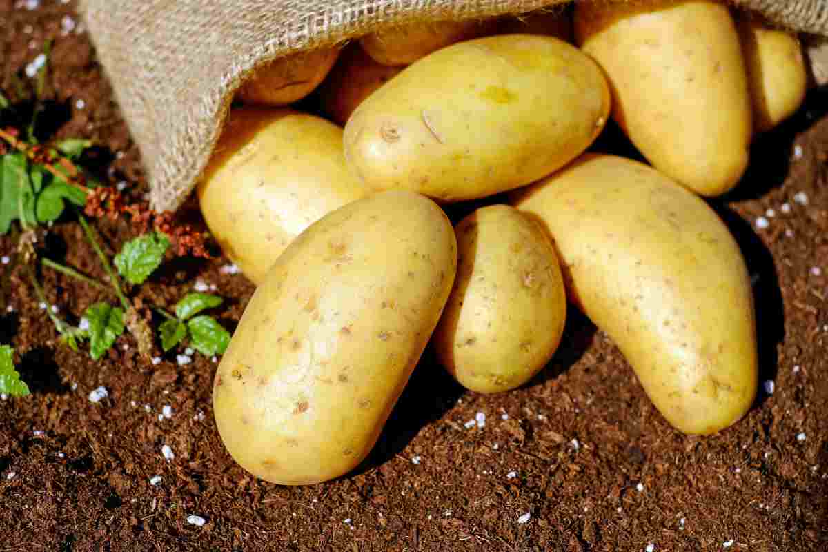 tipologie di patate