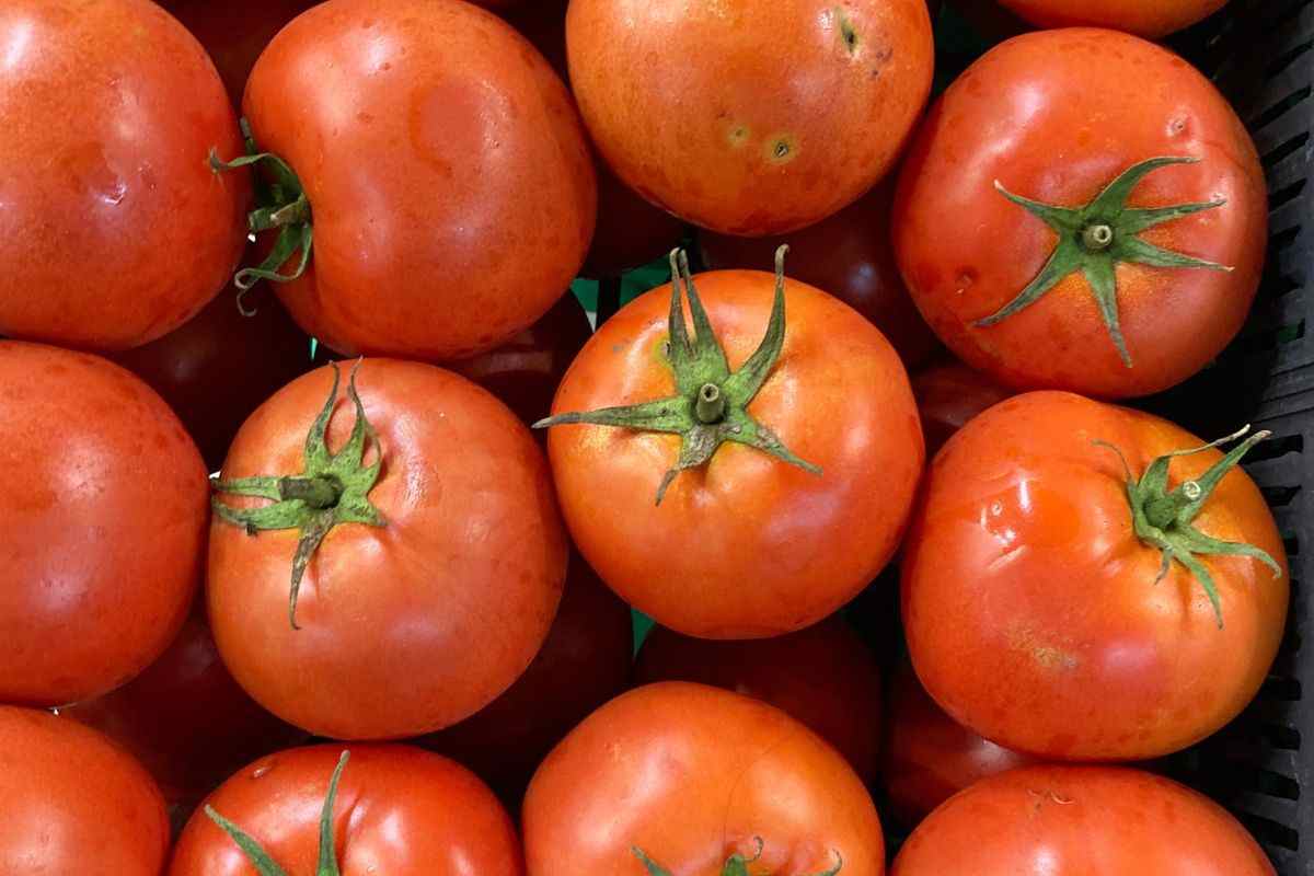 quali pomodori acquistare al supermercato