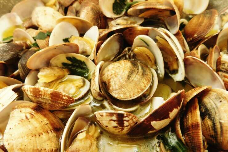 bidone gusci cozze e vongole