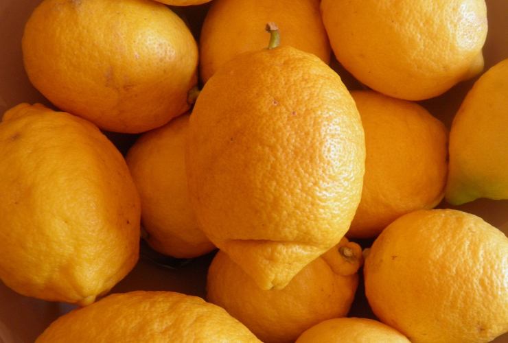 Aroma di limone perfetto per le Delizie