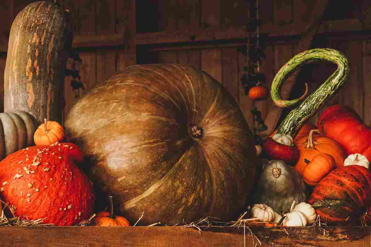 La zucca più grande del mondo