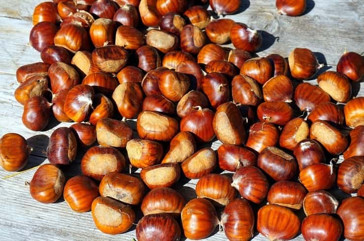 castagne di alta qualità 