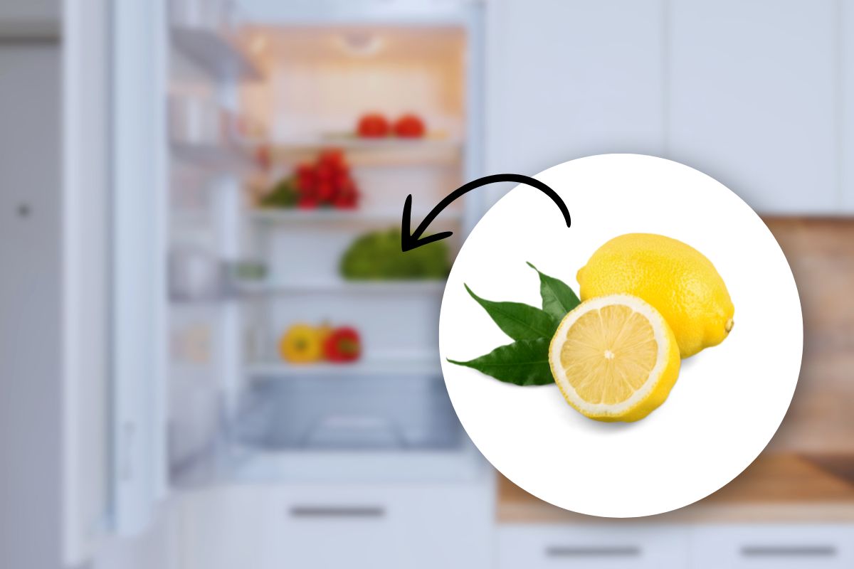 limoni in frigo cosa fare