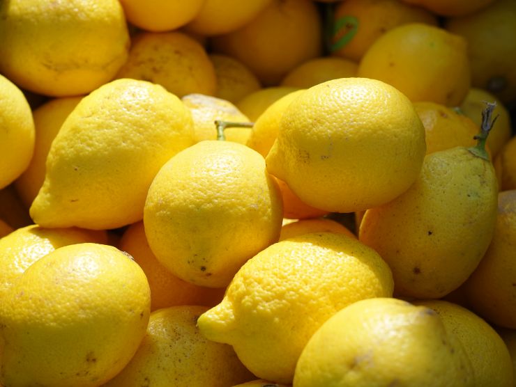 come conservare limoni frigo