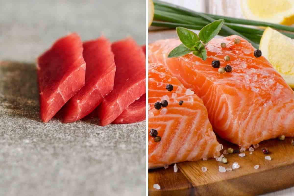 tonno o salmone qual è più sano