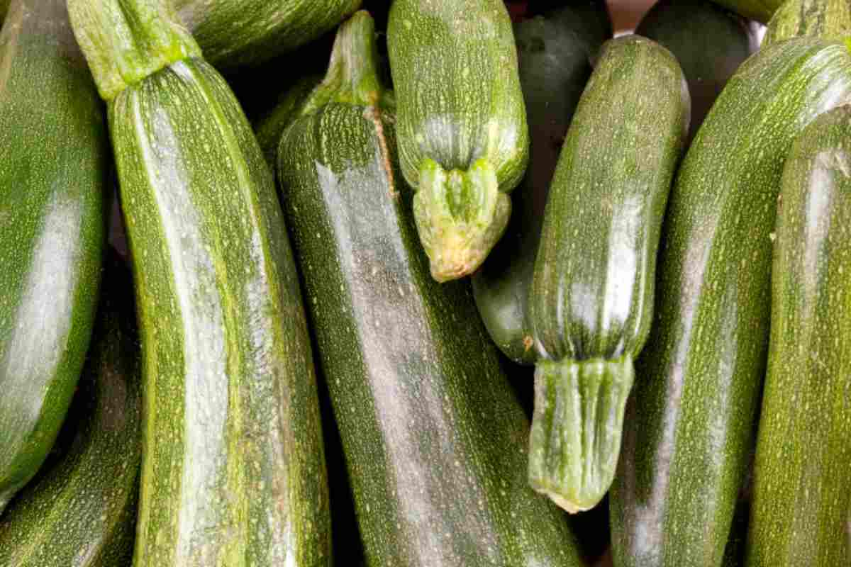 imbrogliata di zucchine come prepararla