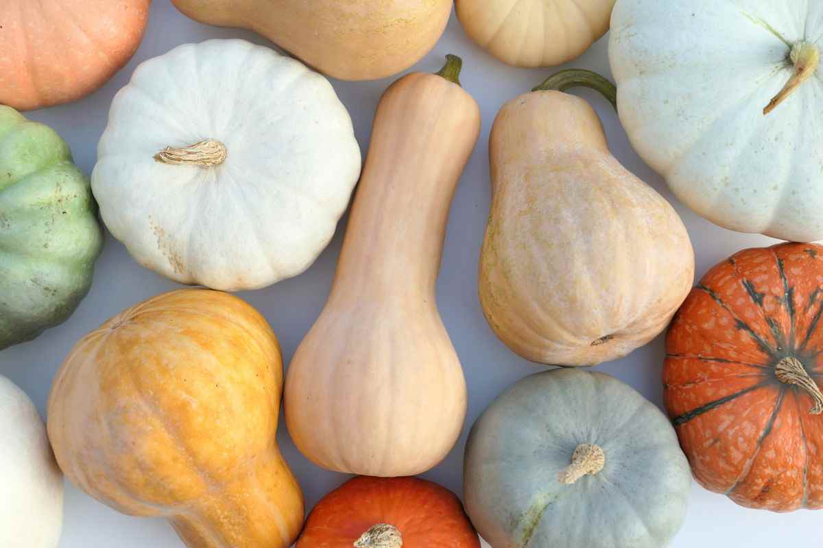 Tipi di zucca e preparazioni