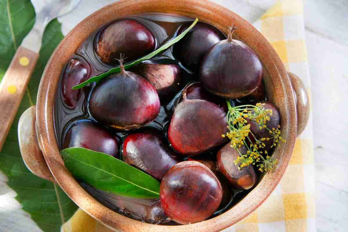 Castagne bollite in una ciotola