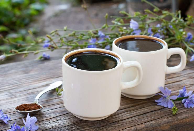 Caffè di cicoria in tazzina