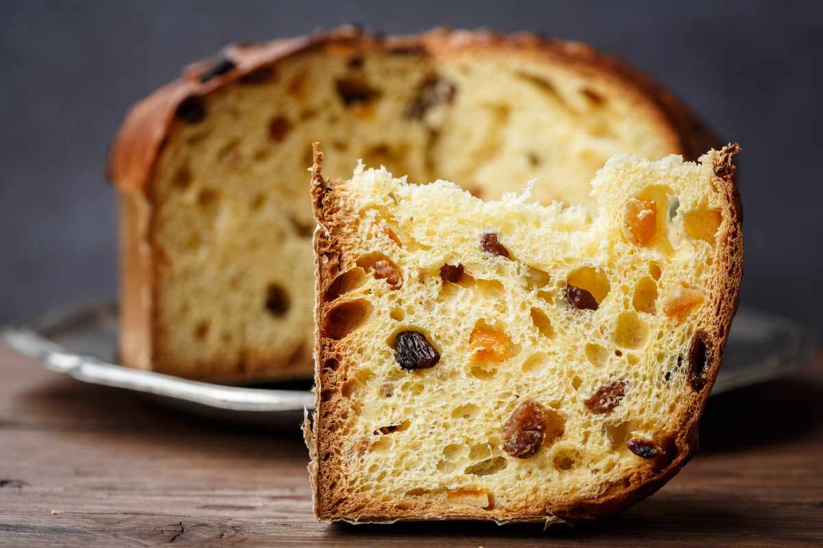 Panettone