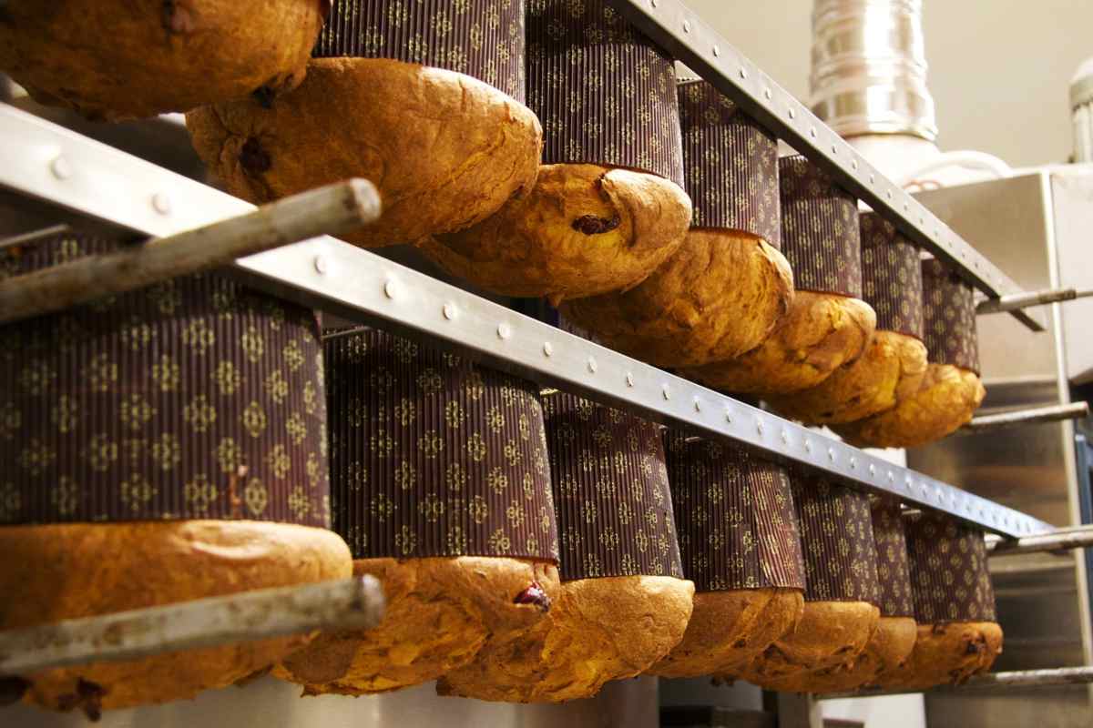 Panettoni pronti per Natale pasticceria