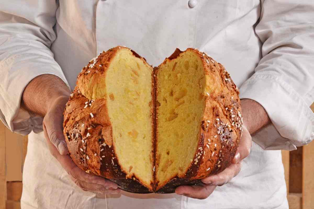 panettone artigianale