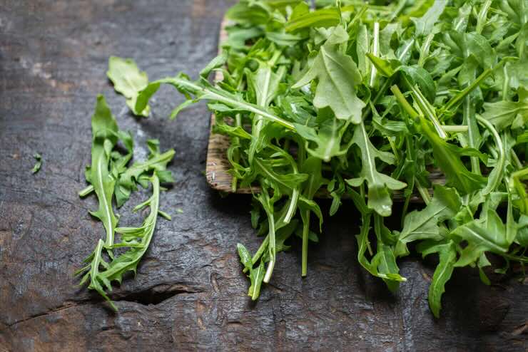 Rucola