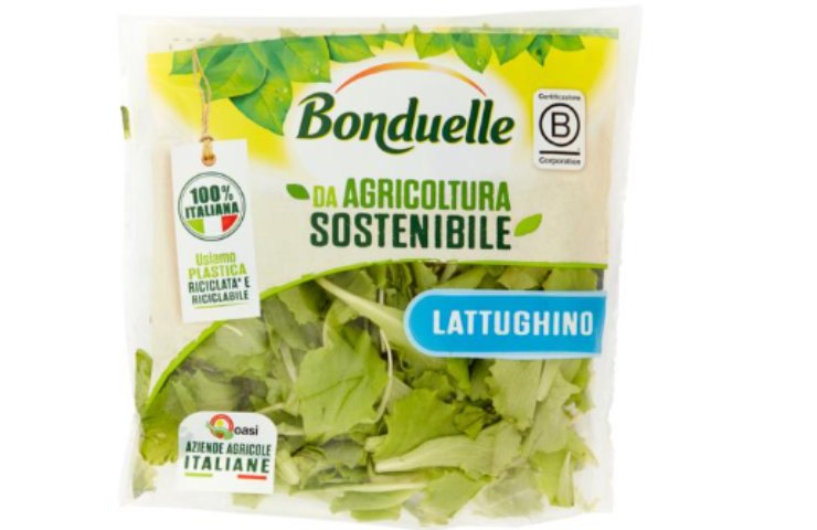 Lattughino Bonduelle