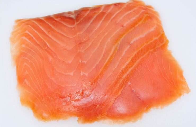 Salmone selvatico